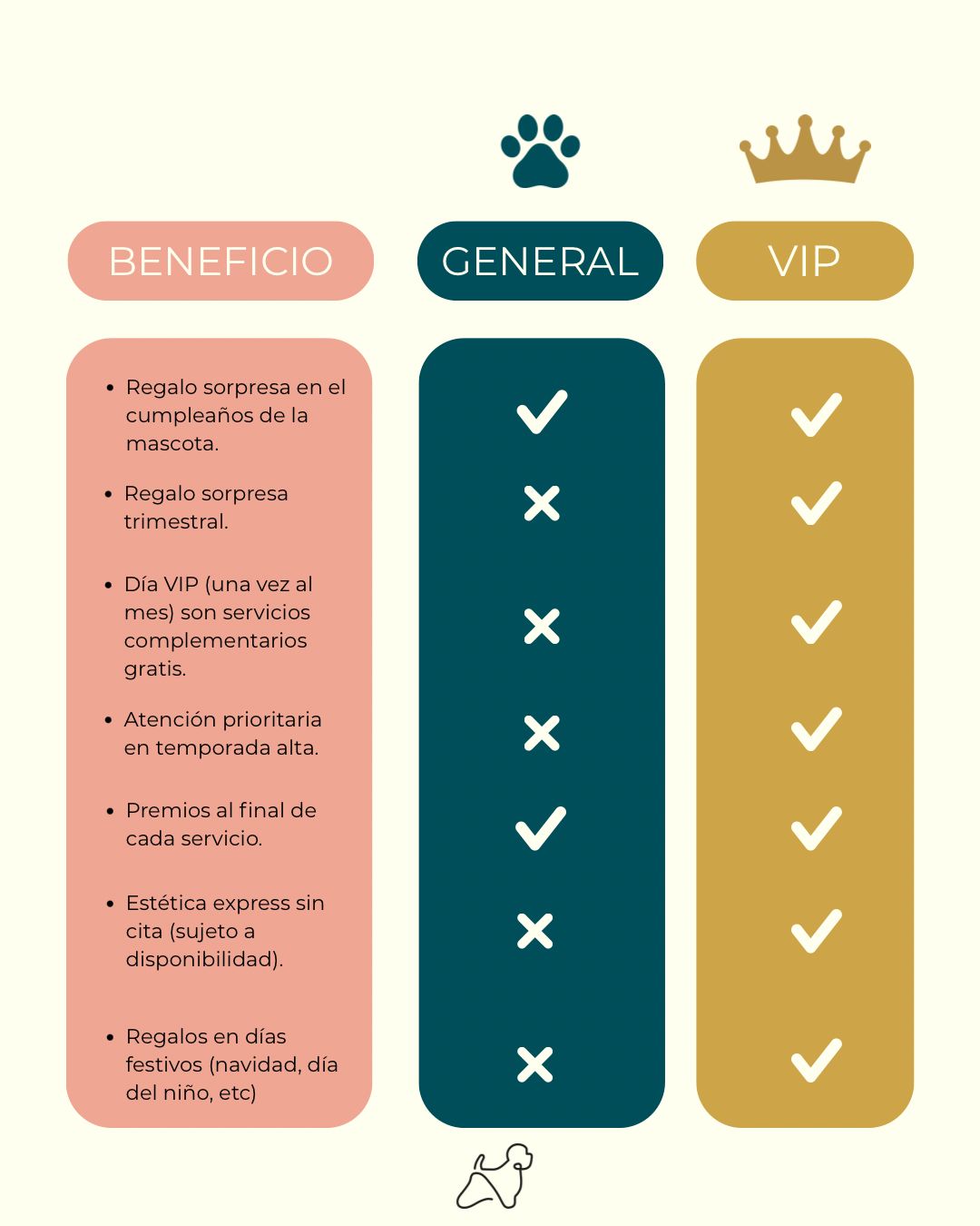 Beneficios LoftyCan VIP 1